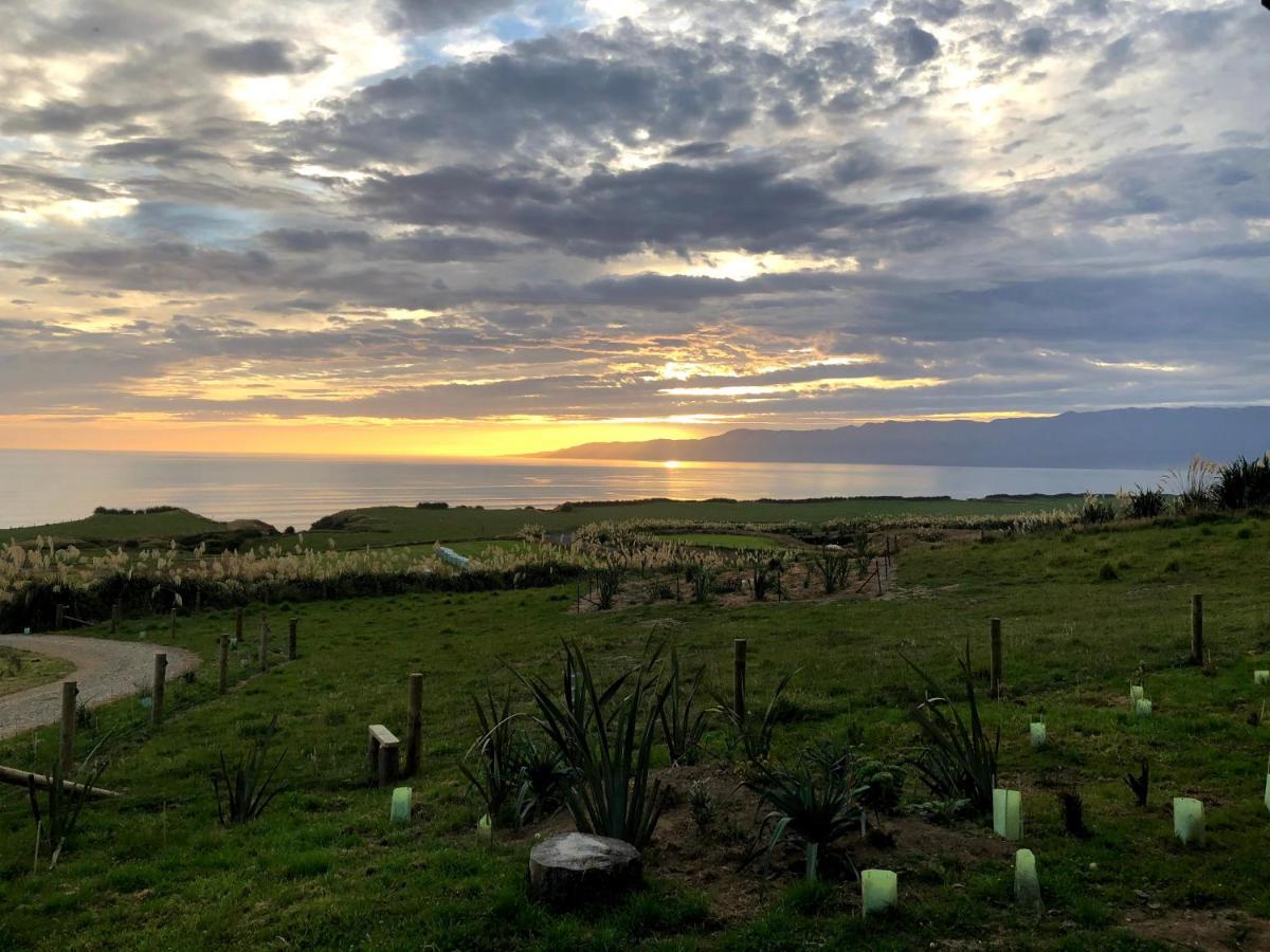 Toitoi Papatotara Bnb ภายนอก รูปภาพ